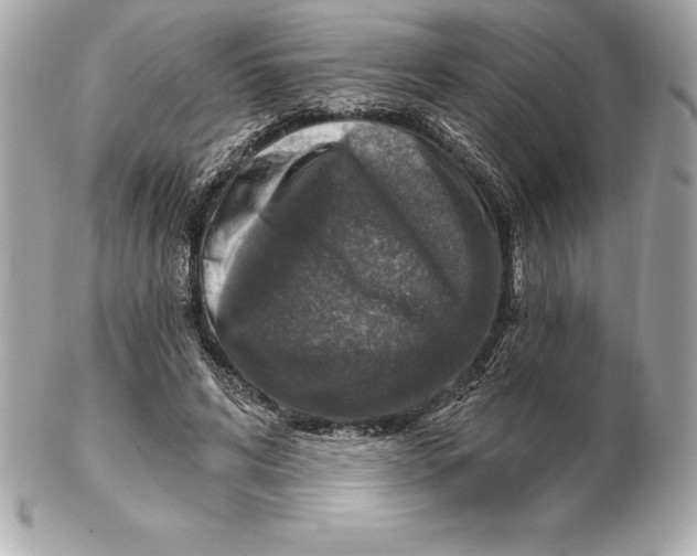 X0000102280592200808151930