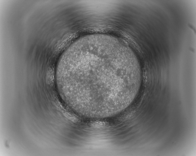 X0000102280593200808151930