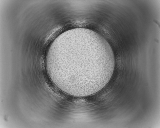 X0000102280594200808151930