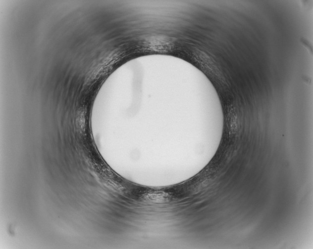 X0000102280595200808151930