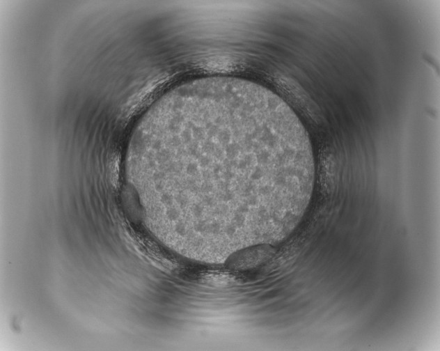 X0000102280596200808151930