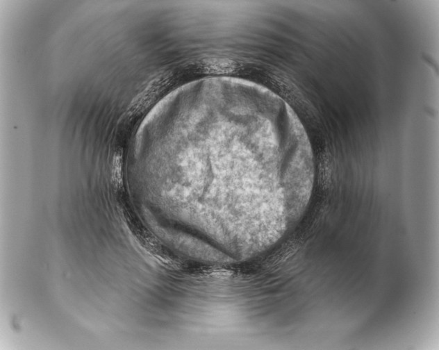 X0000102280598200808151930