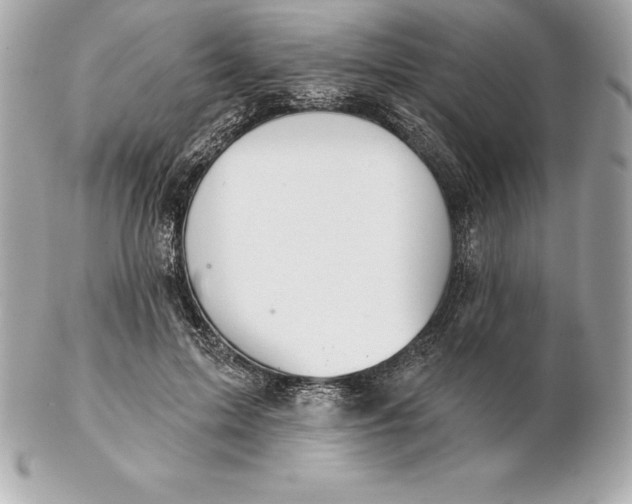 X0000102280599200808151930