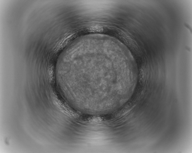 X0000102280600200808151930