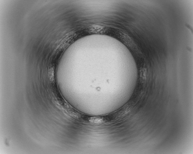 X0000102280602200808151930