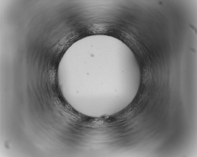 X0000102280604200808151930