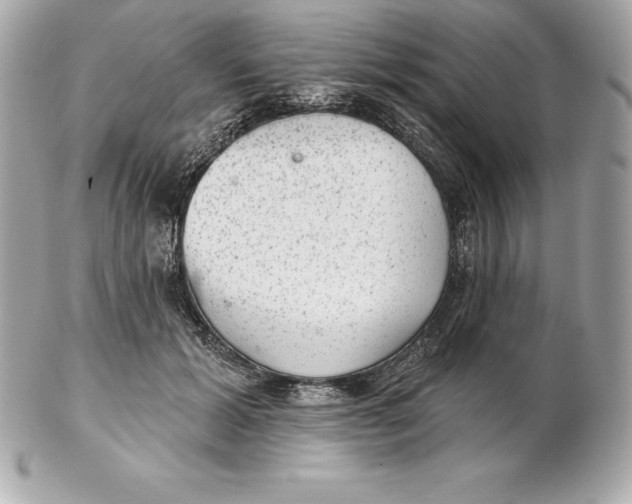 X0000102280605200808151930