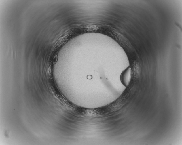 X0000102280608200808151930