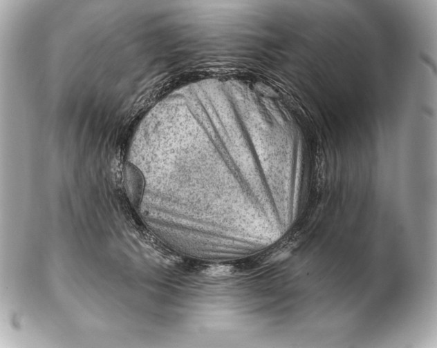 X0000102280609200808151930