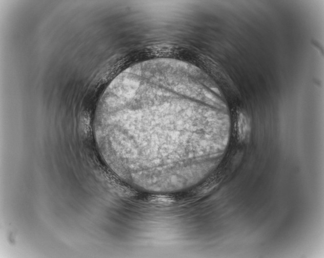 X0000102280610200808151930