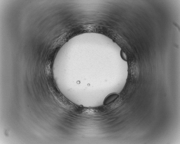 X0000102280611200808151930