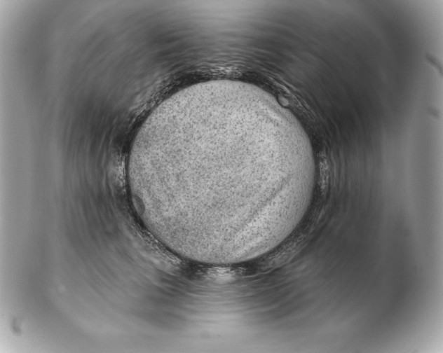 X0000102280613200808151929