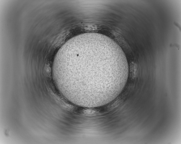 X0000102280614200808151929