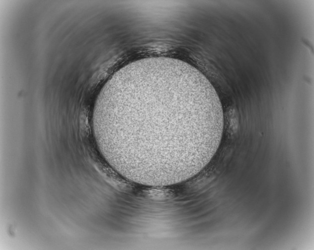 X0000102280615200808151929