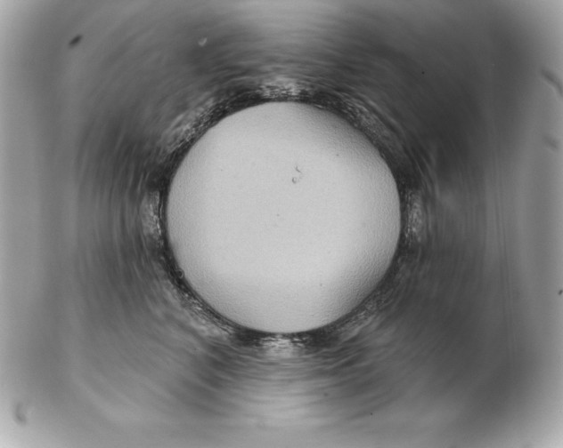 X0000102280616200808151929