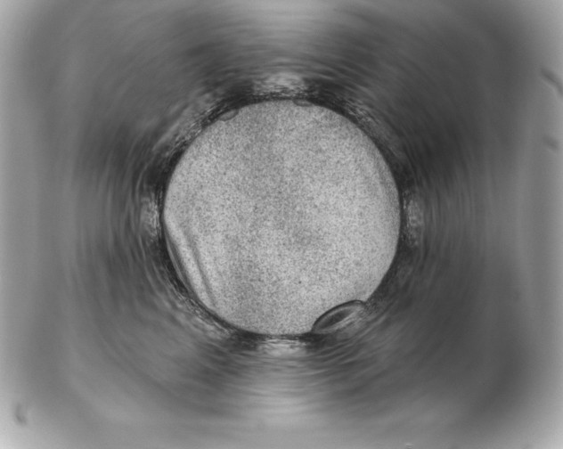 X0000102280617200808151929