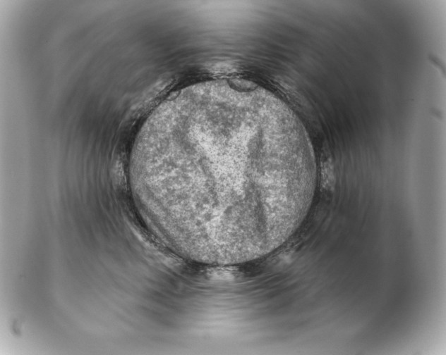 X0000102280618200808151929