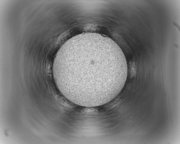 X0000102280619200808151929