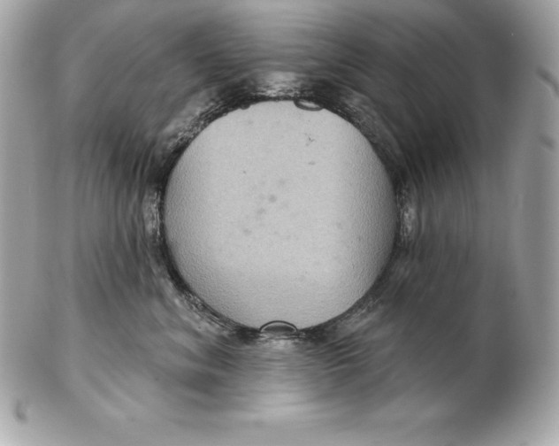 X0000102280620200808151929