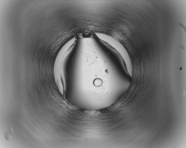 X0000102280621200808151929