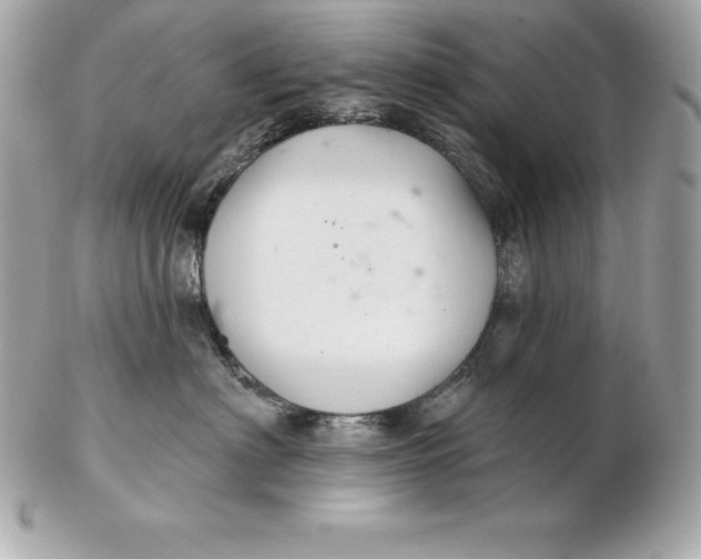 X0000102280622200808151929