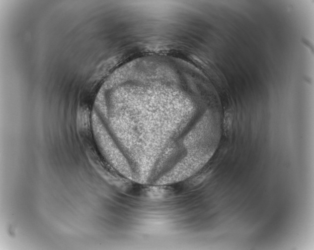 X0000102280623200808151929