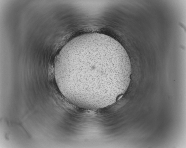 X0000102280624200808151929