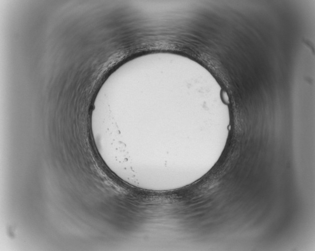 X0000102280625200808151928