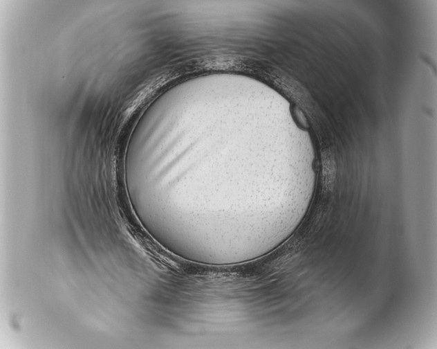 X0000102280626200808151928