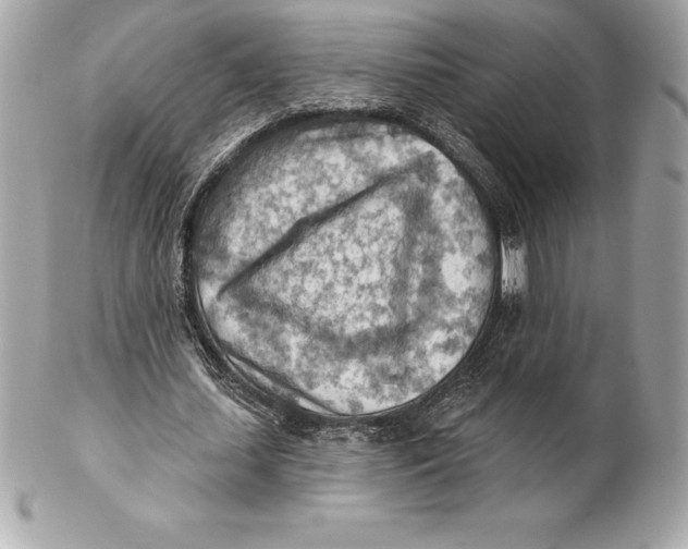 X0000102280627200808151929