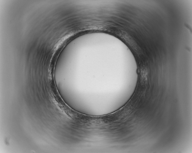 X0000102280628200808151929