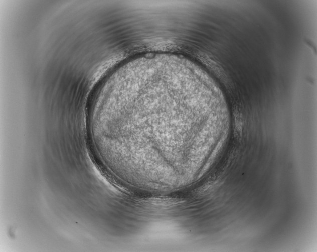 X0000102280630200808151929