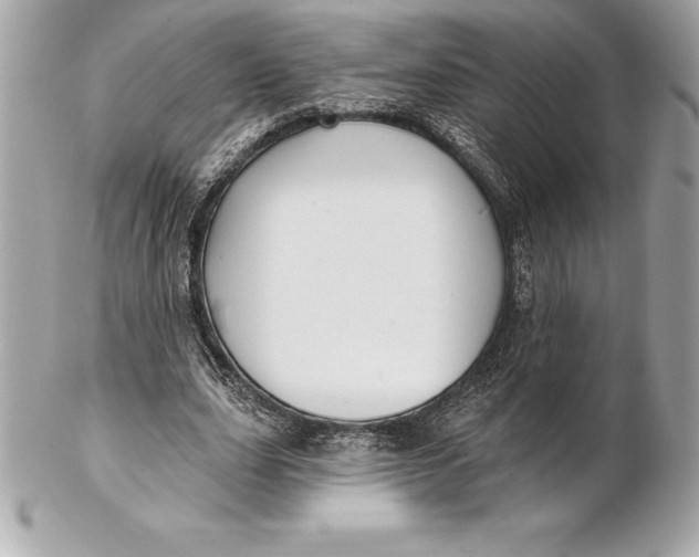 X0000102280631200808151929