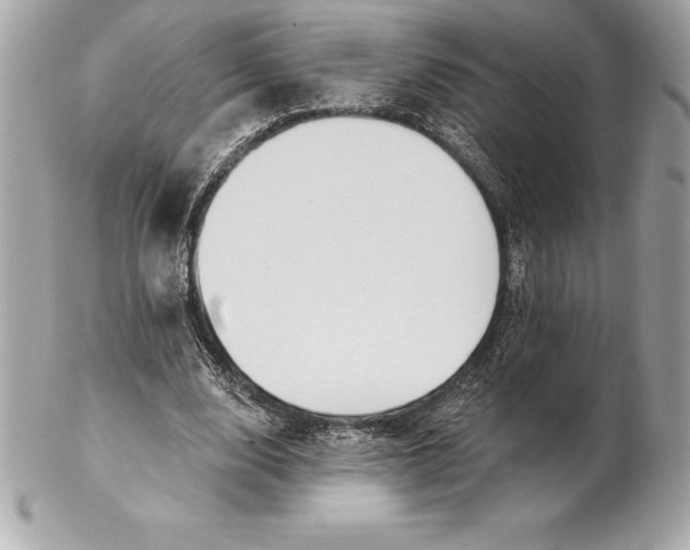 X0000102280632200808151929