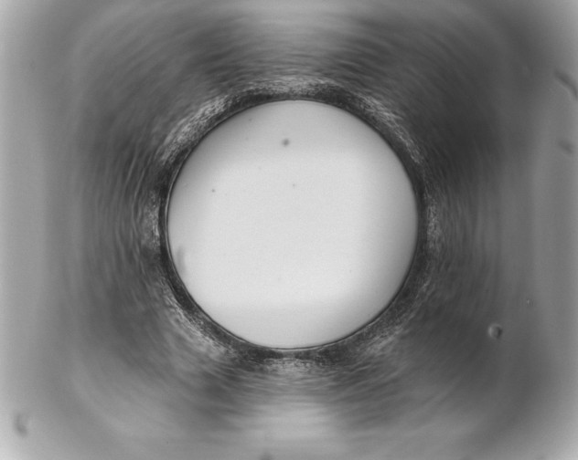 X0000102280633200808151929