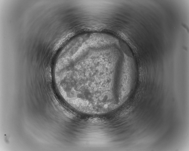 X0000102280634200808151929