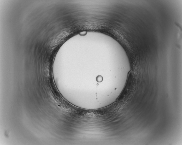 X0000102280635200808151929