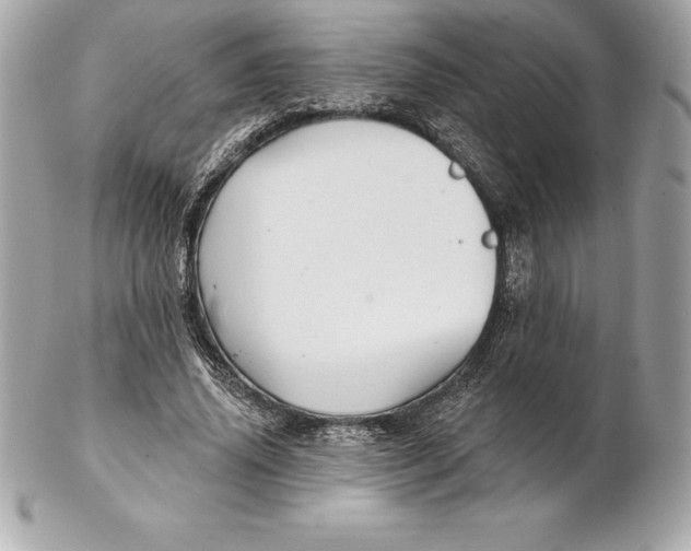 X0000102280636200808151929