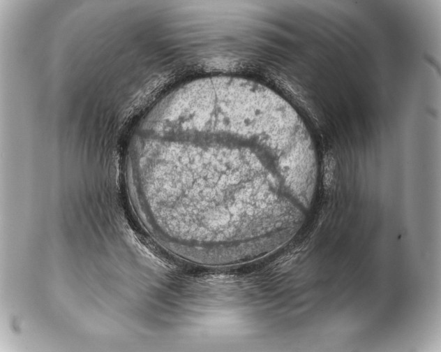 X0000102280637200808151929