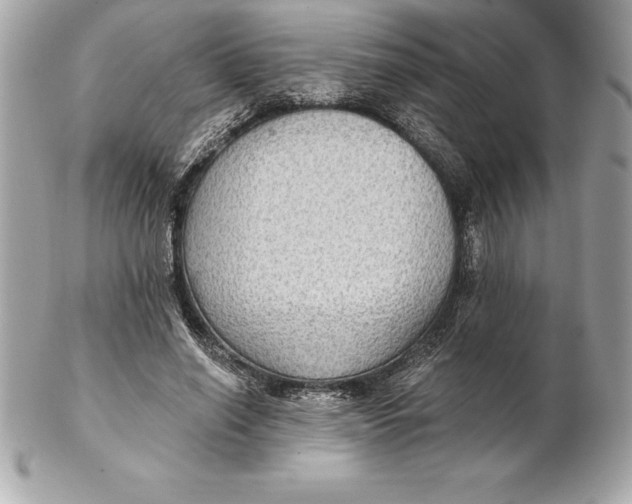 X0000102280638200808151929