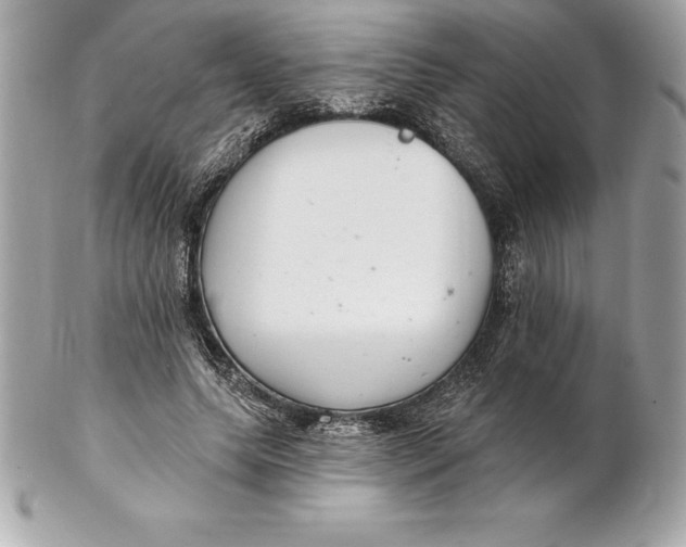 X0000102280639200808151929