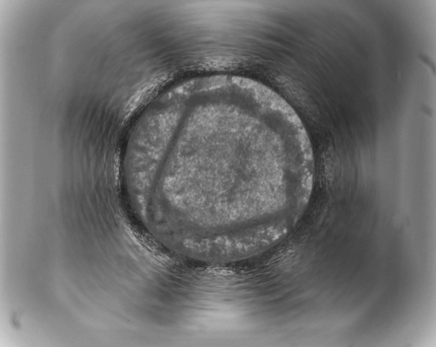 X0000102280640200808151929