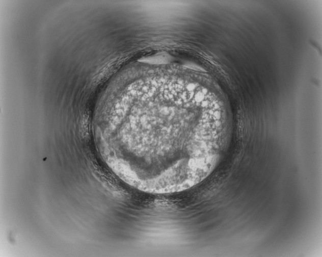 X0000102280641200808151929