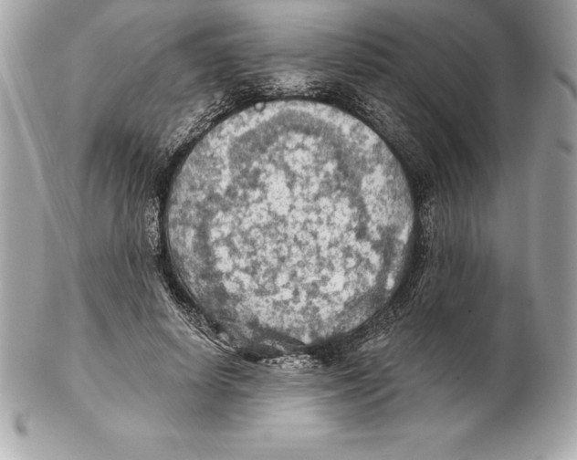 X0000102280642200808151929