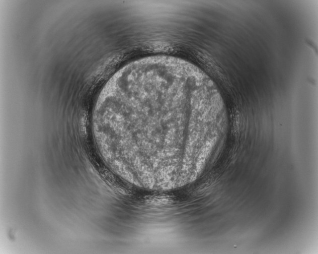 X0000102280643200808151929