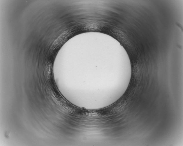 X0000102280645200808151929