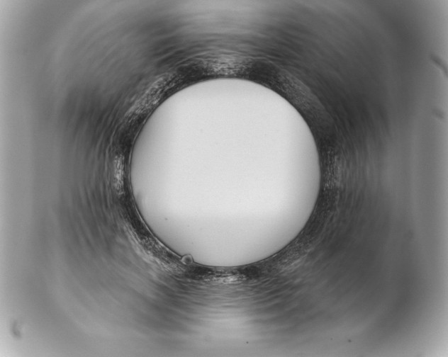 X0000102280646200808151929