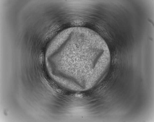 X0000102280647200808151929