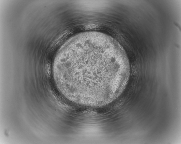 X0000102280648200808151929