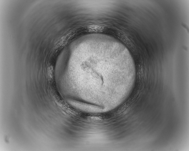 X0000102280649200808151929